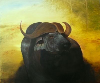 African Buffalo